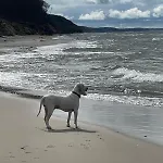 Nad Morzem Przy Klifie 3 Debina Debina (Ustka)