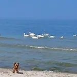 Nad Morzem Przy Klifie 3 Debina * Debina (Ustka)