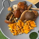 Nad Morzem Przy Klifie 3 Debina Apartman Debina (Ustka)