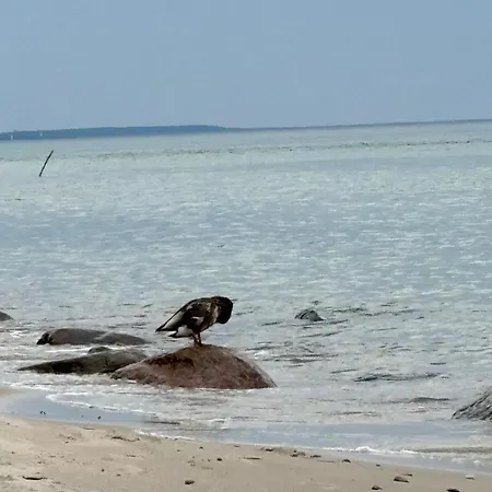 Nad Morzem Przy Klifie 3 Debina *