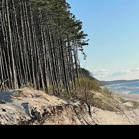 Nad Morzem Przy Klifie 3 Debina アパート *