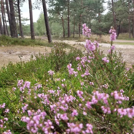 Nad Morzem Przy Klifie 3 Debina アパート