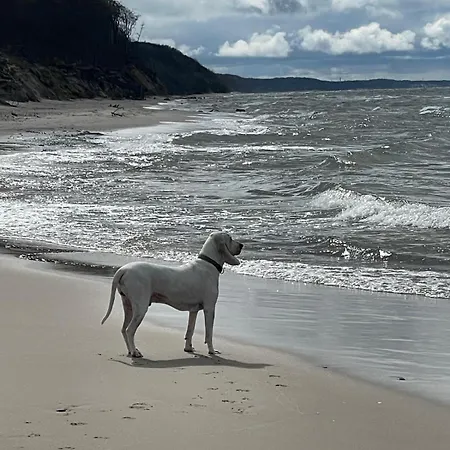 Nad Morzem Przy Klifie 3 Debina Debina (Ustka)