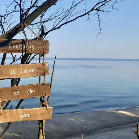 Nad Morzem Przy Klifie 3 Debina