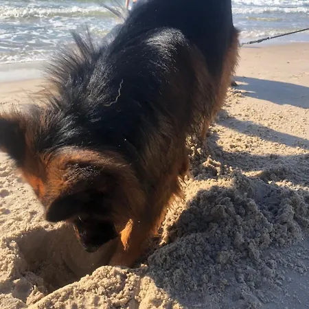 アパート Nad Morzem Przy Klifie 3 Debina *