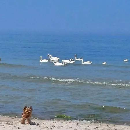 Nad Morzem Przy Klifie 3 Debina * Debina (Ustka)