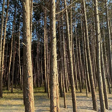 Apartamento Nad Morzem Przy Klifie 3 Debina
