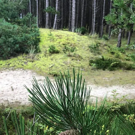 Nad Morzem Przy Klifie 3 Debina アパート *