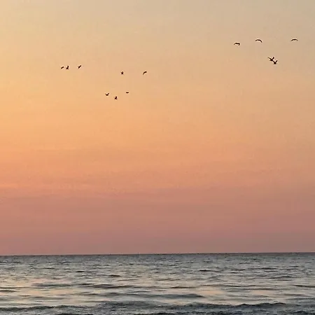 Nad Morzem Przy Klifie 3 Debina *