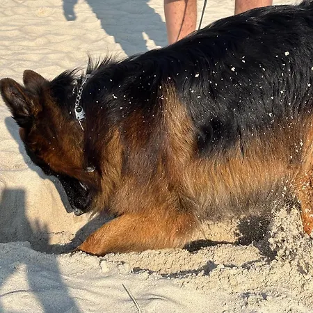 Nad Morzem Przy Klifie 3 Debina Debina (Ustka)