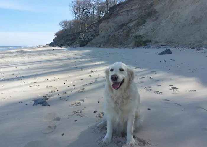 Nad Morzem Przy Klifie 3 Debina * Debina (Ustka)