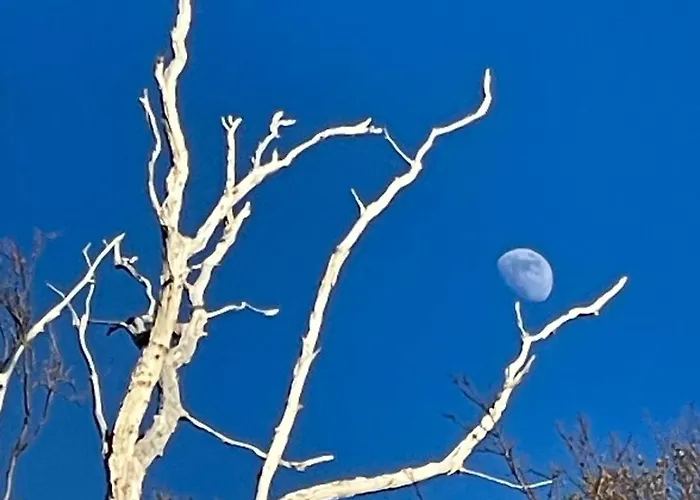 Nad Morzem Przy Klifie 3 Debina Debina (Ustka)