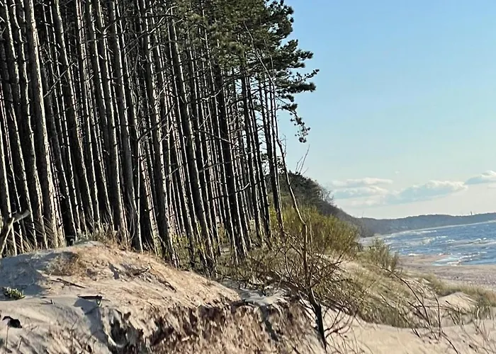 Nad Morzem Przy Klifie 3 Debina Lägenhet *