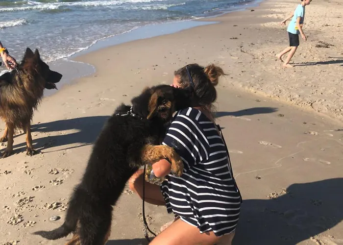 Lägenhet Nad Morzem Przy Klifie 3 Debina