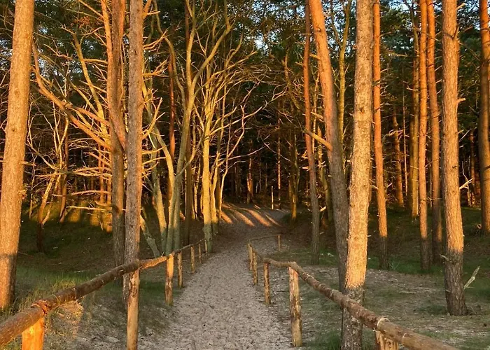 Nad Morzem Przy Klifie 3 Debina Lägenhet