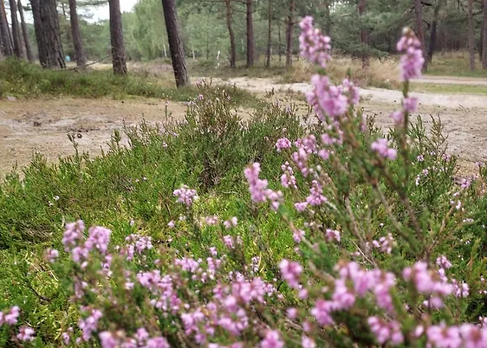 Nad Morzem Przy Klifie 3 Debina Lägenhet