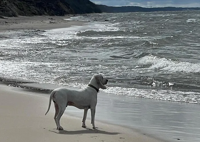 Nad Morzem Przy Klifie 3 Debina Debina (Ustka)