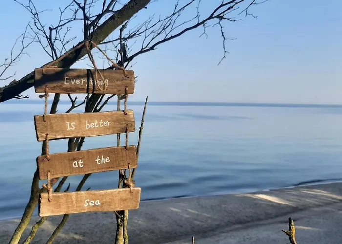 Nad Morzem Przy Klifie 3 Debina