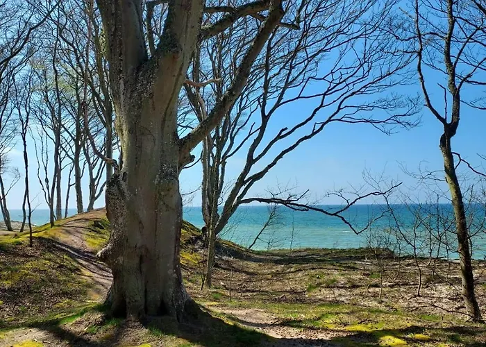 Lägenhet Nad Morzem Przy Klifie 3 Debina *