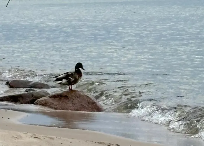 Nad Morzem Przy Klifie 3 Debina * Debina (Ustka)