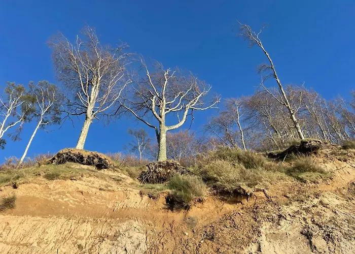 Nad Morzem Przy Klifie 3 Debina