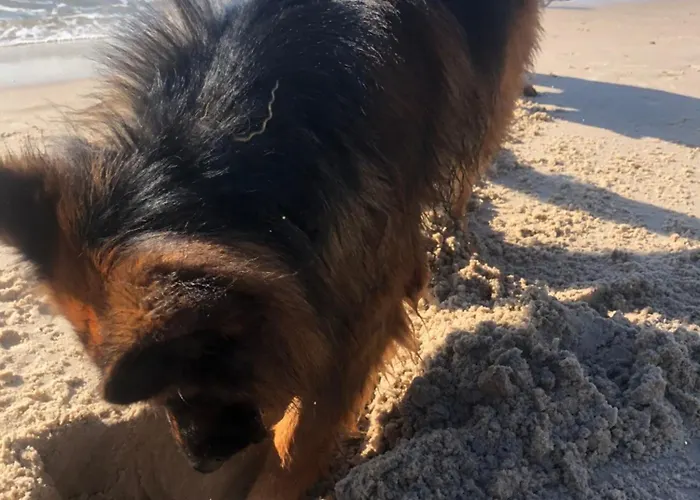 Lägenhet Nad Morzem Przy Klifie 3 Debina *