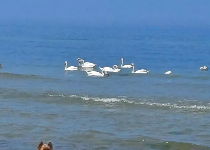 Nad Morzem Przy Klifie 3 Debina * Debina (Ustka)