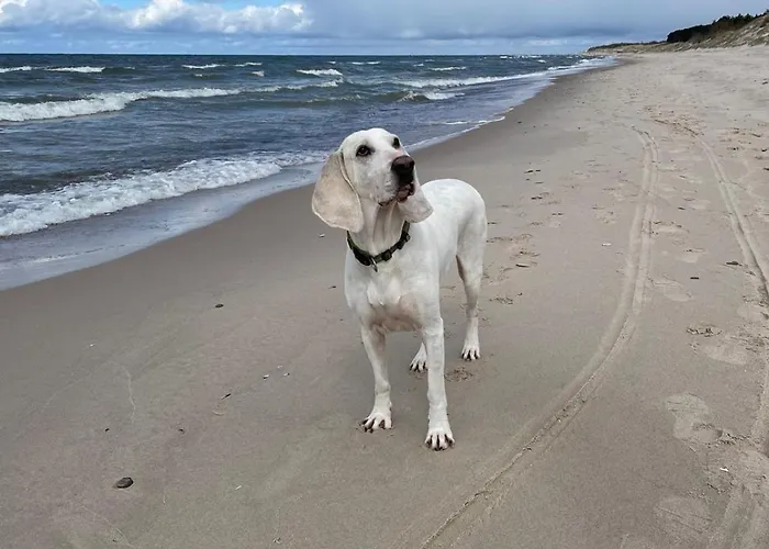 Nad Morzem Przy Klifie 3 Debina *