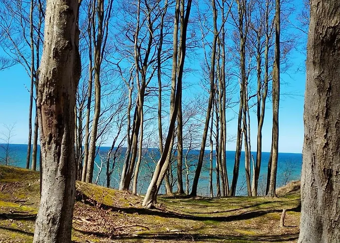 Nad Morzem Przy Klifie 3 Debina Lägenhet Debina (Ustka)