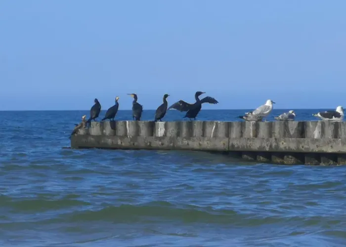 Nad Morzem Przy Klifie 3 Debina Lägenhet Debina (Ustka)