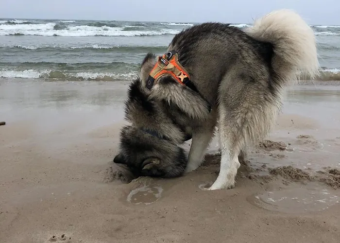 Nad Morzem Przy Klifie 3 Debina *