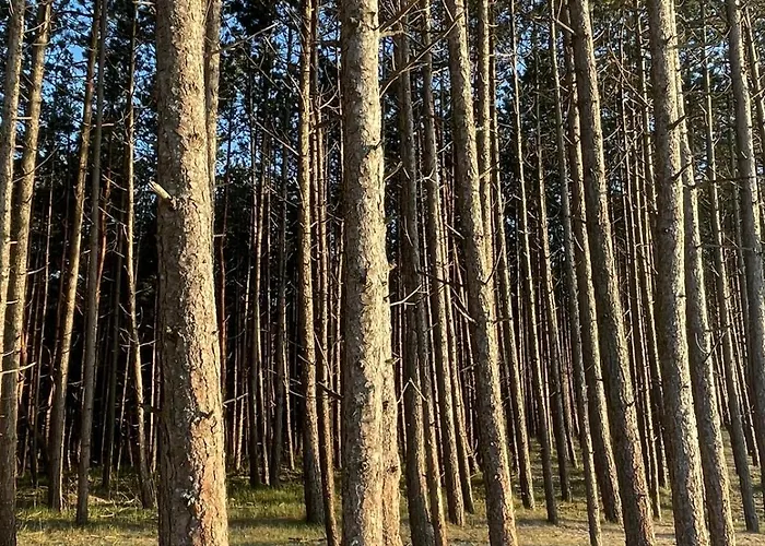 Lägenhet Nad Morzem Przy Klifie 3 Debina