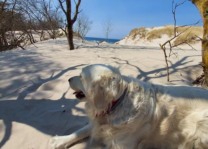Nad Morzem Przy Klifie 3 Debina Lägenhet Debina (Ustka)