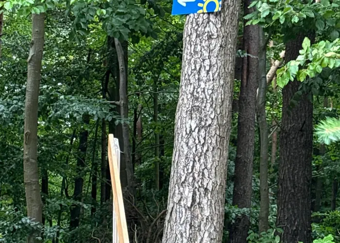 Lägenhet Nad Morzem Przy Klifie 3 Debina *