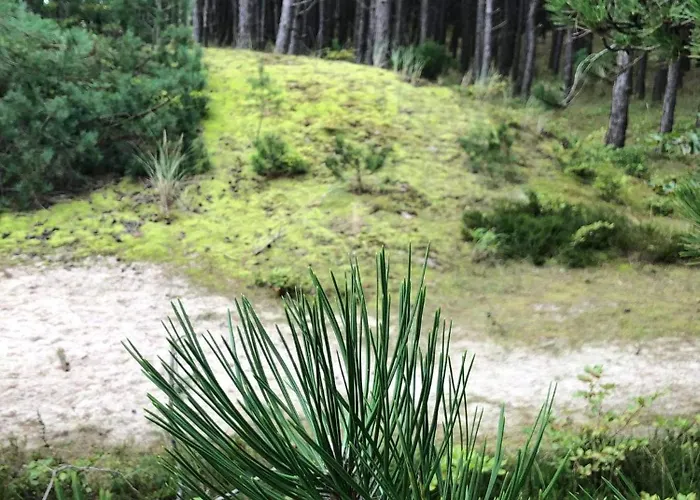 Nad Morzem Przy Klifie 3 Debina Lägenhet *