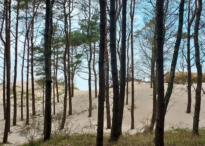 Lägenhet Nad Morzem Przy Klifie 3 Debina Debina (Ustka)