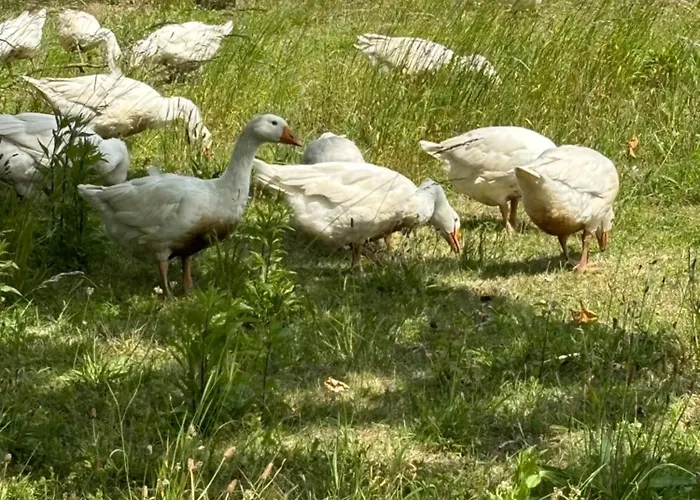 Lägenhet Nad Morzem Przy Klifie 3 Debina *