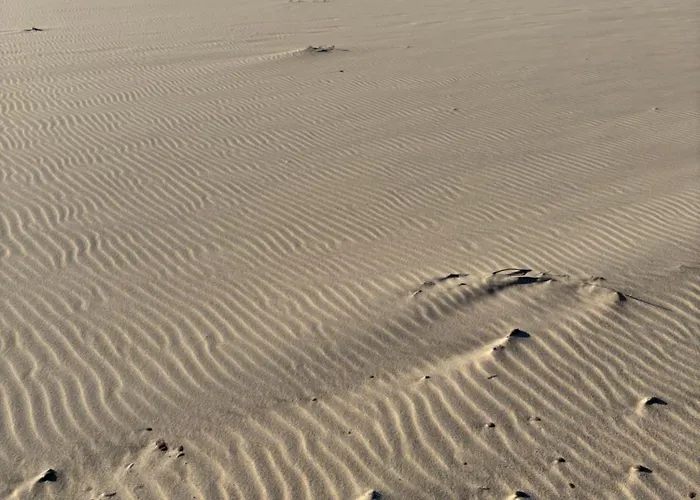 Nad Morzem Przy Klifie 3 Debina