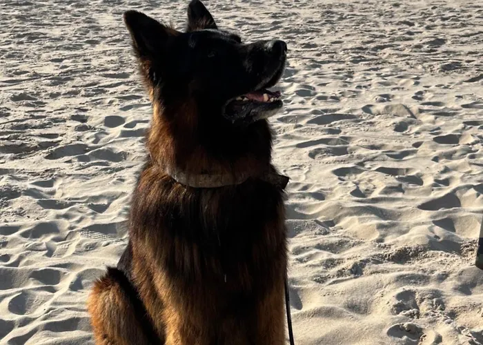 Nad Morzem Przy Klifie 3 Debina