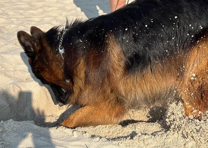 Nad Morzem Przy Klifie 3 Debina Debina (Ustka)