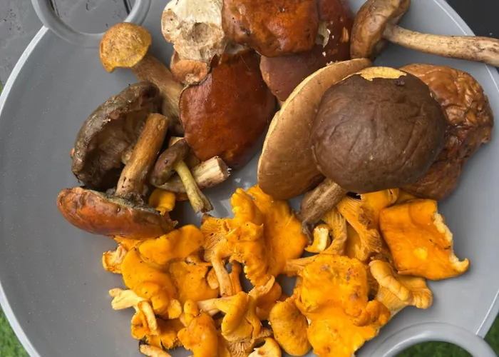 Nad Morzem Przy Klifie 3 Debina Lägenhet Debina (Ustka)